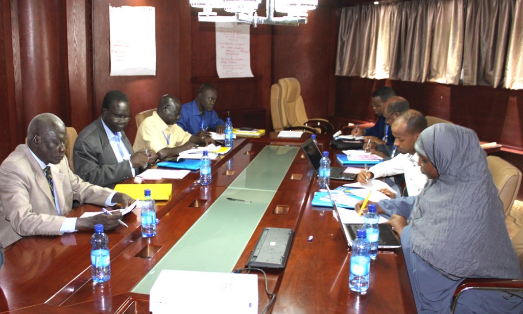Training for selected Auditors of the Supreme Audit Institutions of Somalia and South Sudan