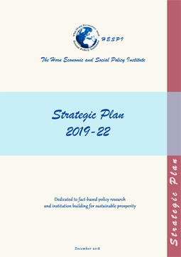 HESPI Strategic Plan 2019-22